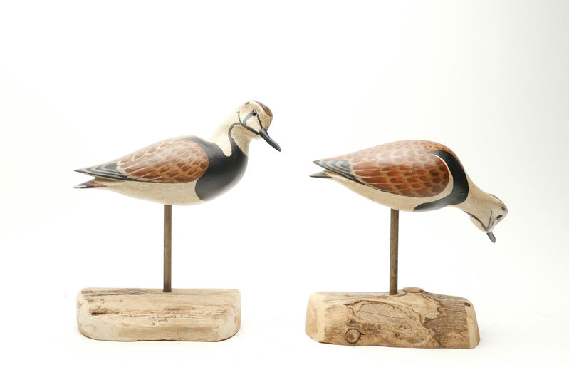 Harry V. Shourds – Ruddy Duck – 2026