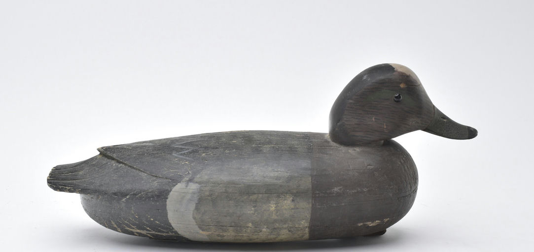 Jess Heisler – Wigeon – 2025
