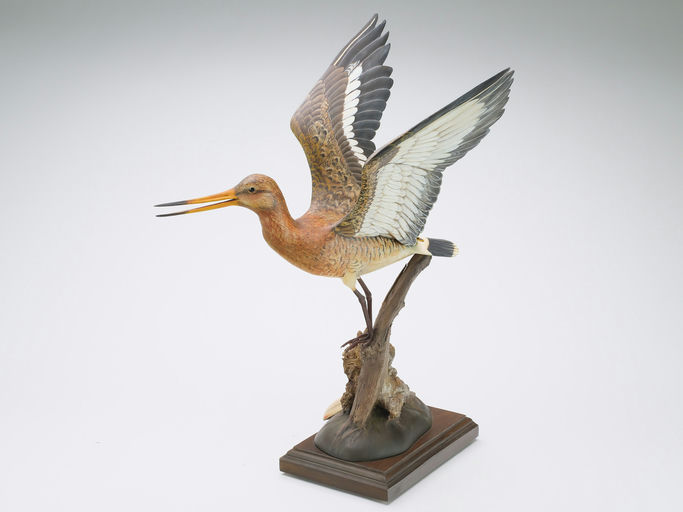 Bill Gibian – Black Tailed Godwit – 2024