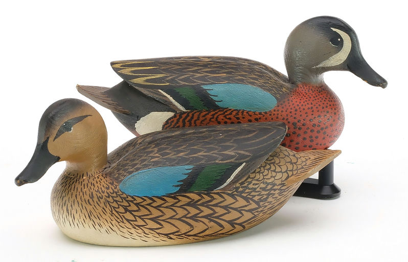 Oliver Lawson – Pair of Blue-winged Teal – 2024