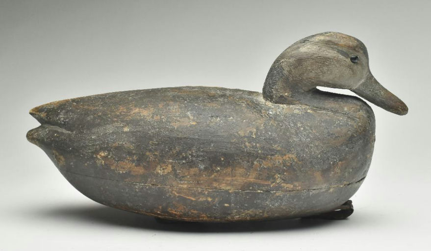 Reggie Birch – Black duck – 2023