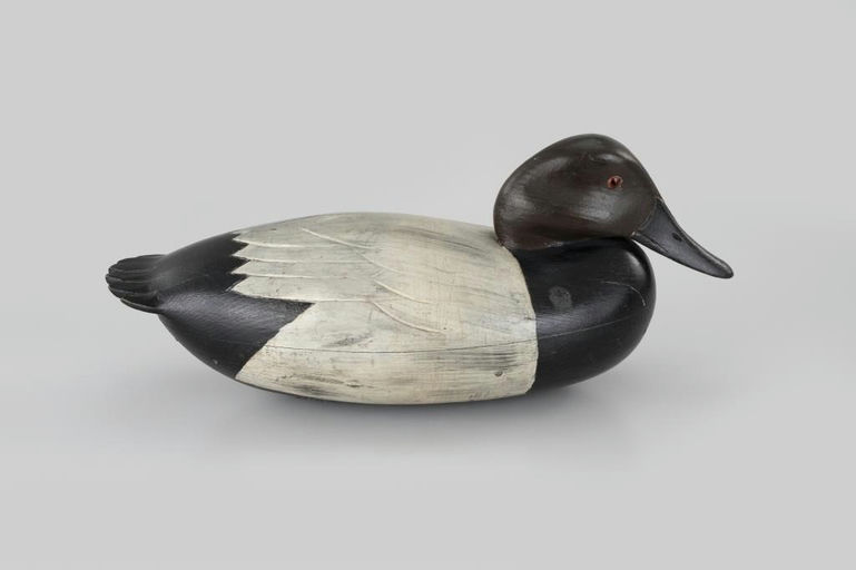 Jess Heisler – Canvasback – 2026
