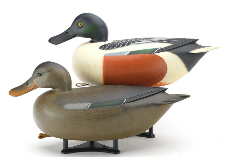 Rick Brown – Pair of Shoveler – 2024