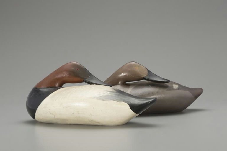 R. Madison Mitchell – Preening Canvasback Pair – 2018