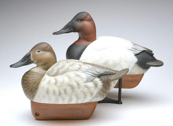 Tom Matus – Pair of Canvasback – 2023