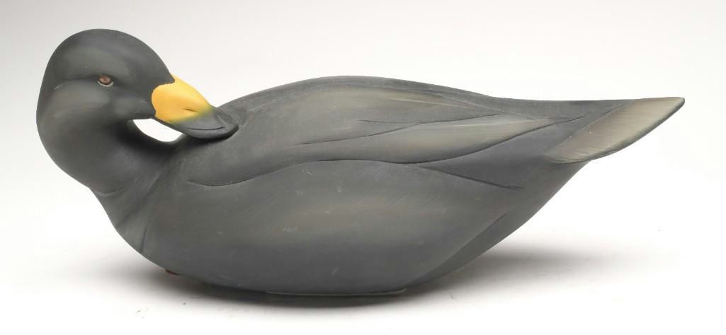 Sean Sutton – Preening Scoter – 2023
