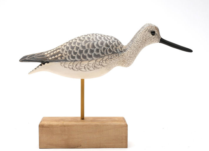 Cigar Daisey – Yellowlegs – 2026