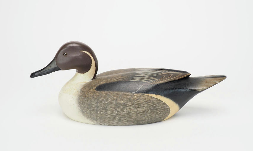 J.J. West — Pintail Drake