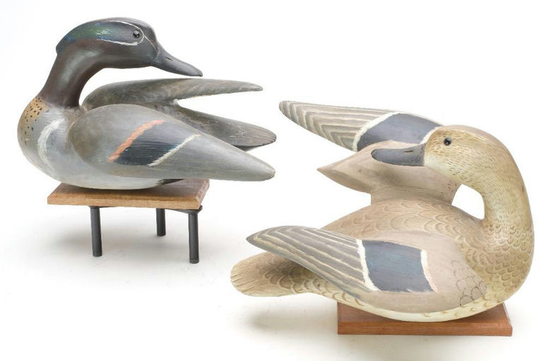 Lloyd Tyler – Green-winged Teal – 2023