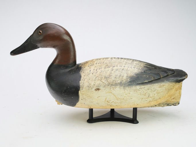 Richard Janson – Canvasback – 2024