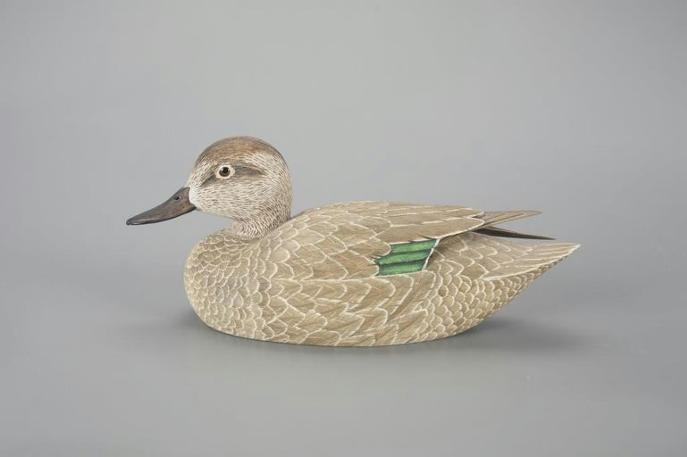 Bob Bell – Green-winged Teal Hen – 2023