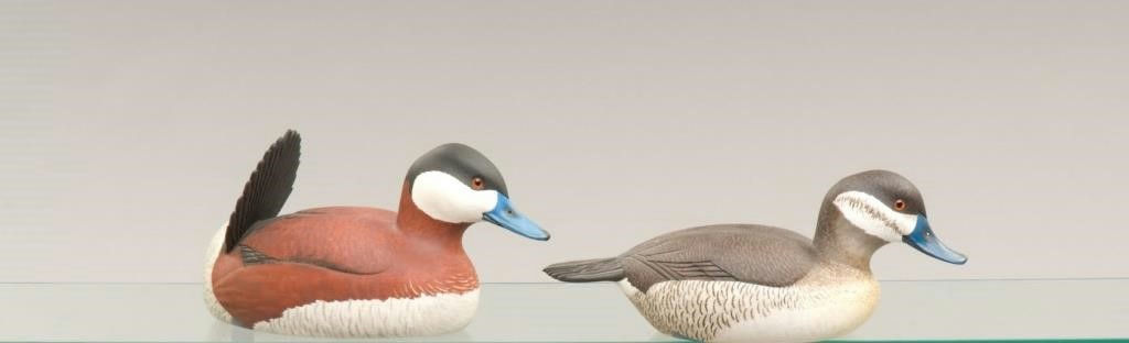 William M. Birk – Ruddy Duck Pair – 2009