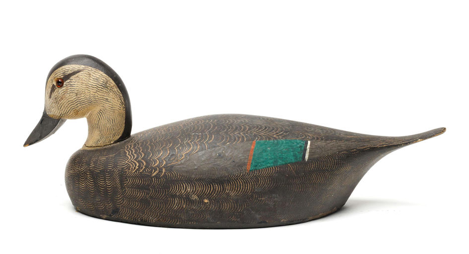 Ken Harris – Pintail – 2026