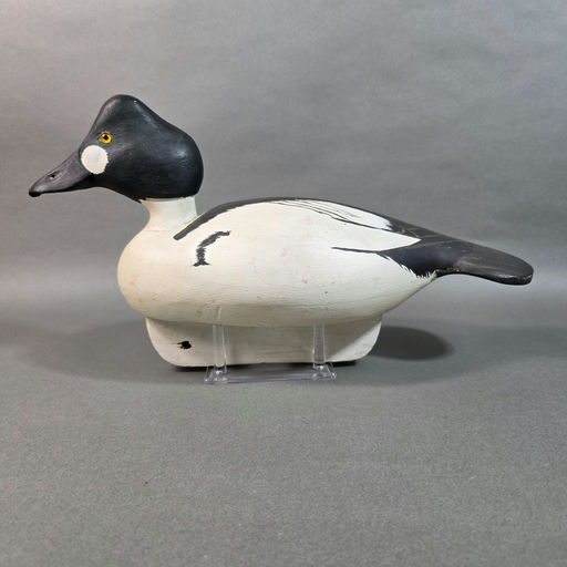 John McLoughlin – Goldeneye – 2026