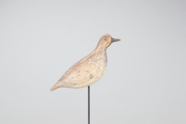 Verity Family – Early Plover – 2022