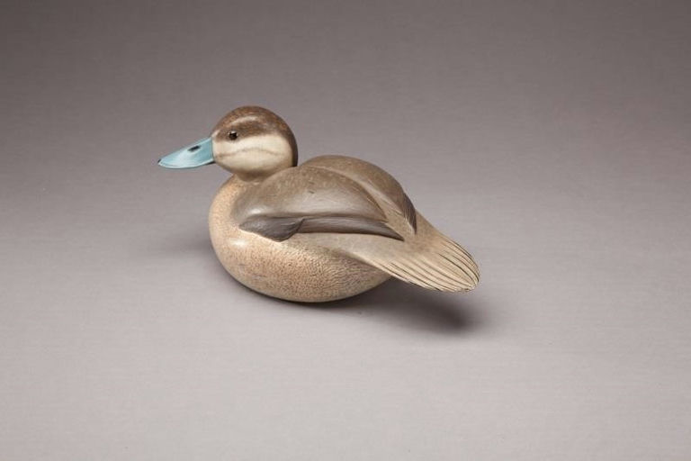 Bob White – Ruddy Duck Hen – 2011