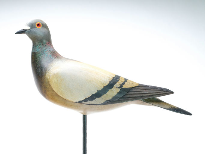 Bill Gibian – Pigeon – 2025