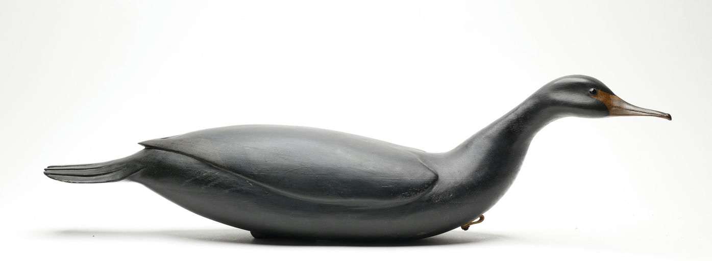 Bob White – Cormorant – 2026
