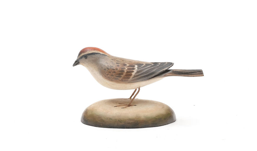 Frank Finney – Chipping Sparrow With Raised V Wing Tips and Tack Eyes – 2026