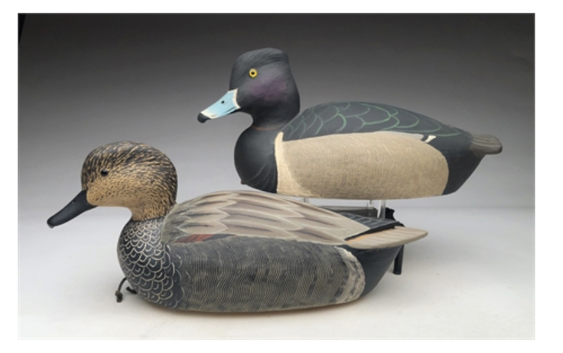 Grayson Chesser – Ring Neck Drake and Gadwall – 2020