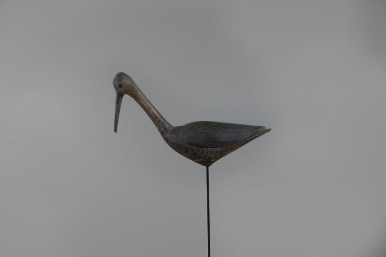Mark McNair – Early Root-Head Yellowlegs – 2026