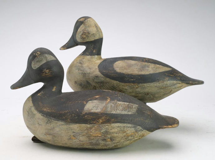 Reggie Birch – Bufflehead – 2024