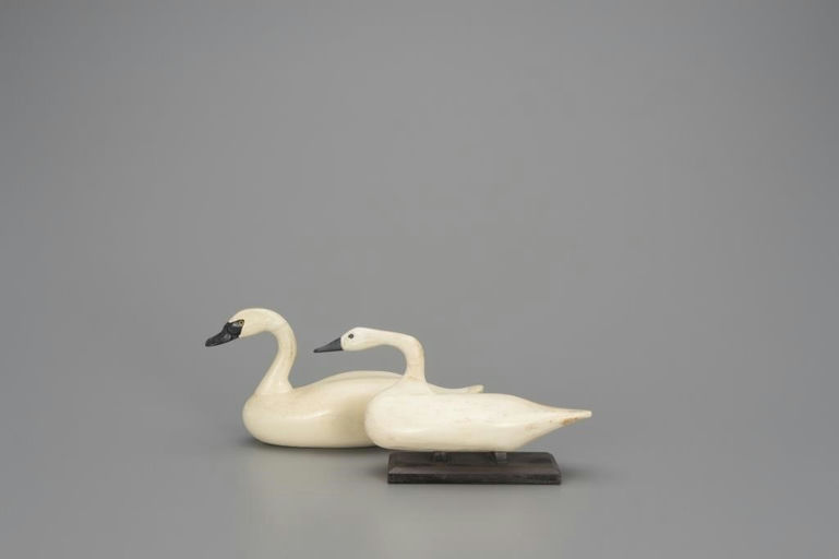 Bob McGaw – Two Miniature Swans – 2018