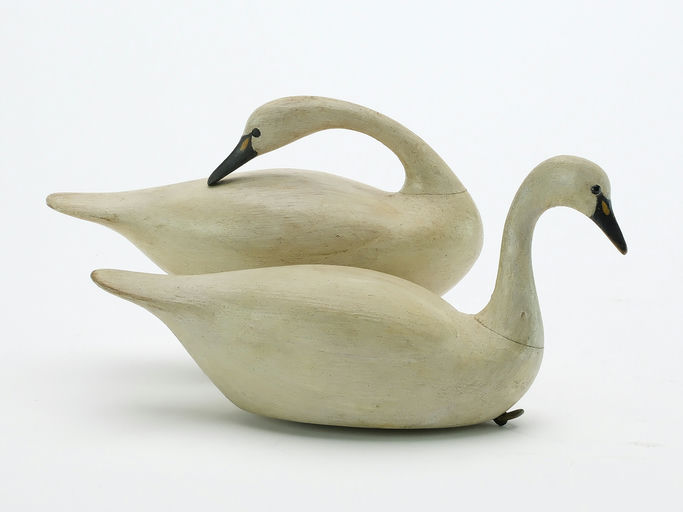 Mark McNair – Pair of Swan – 2024