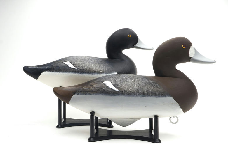 Charlie Joiner – Pair of Bluebill – 2026