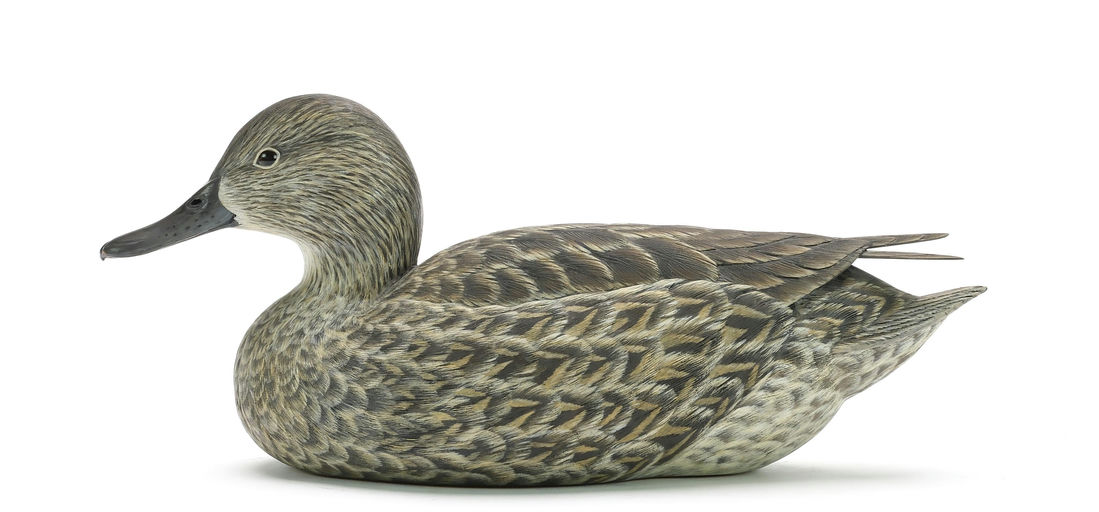Ben A. Heinemann – Green-winged Teal – 2024