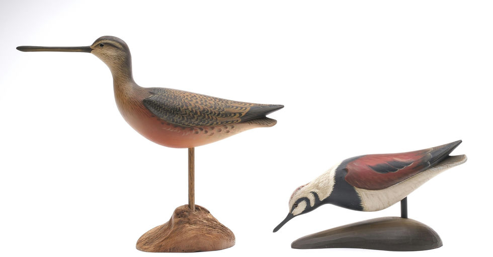 George Strunk – Ruddy Turnstone – 2024