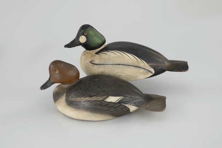 Ward Brothers – "Dust Jacket" Ward Goldeneye Pair – 2026