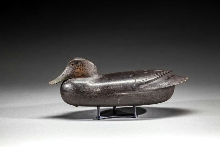 Robert Freirich – Black Duck – 2016