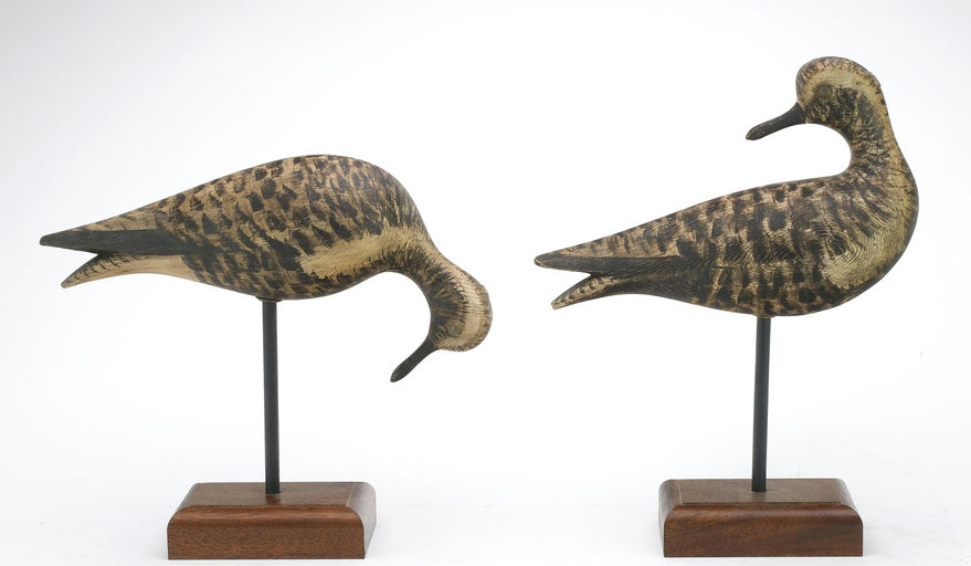 Marty Collins – Two Plovers – 2024