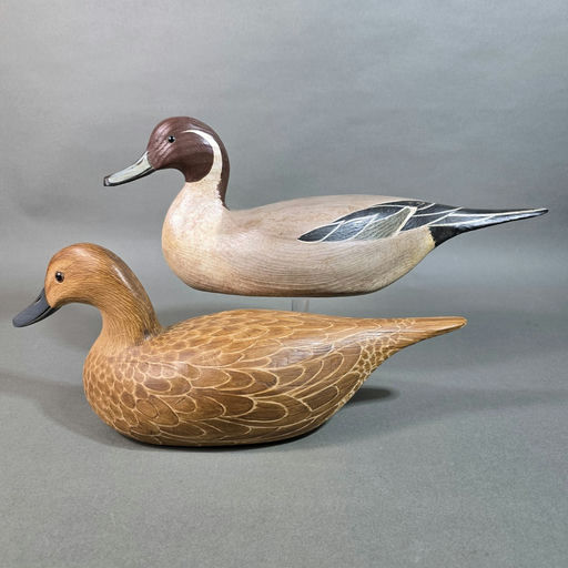 Gary Crossman – Pintail – 2026