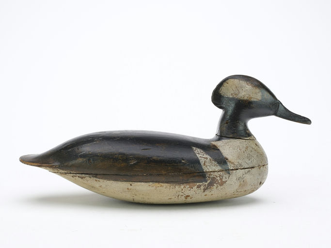 Harry V. Shourds – Hooded Merganser – 2024