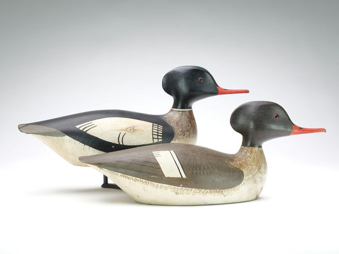 George Boyd — Red-breasted Merganser