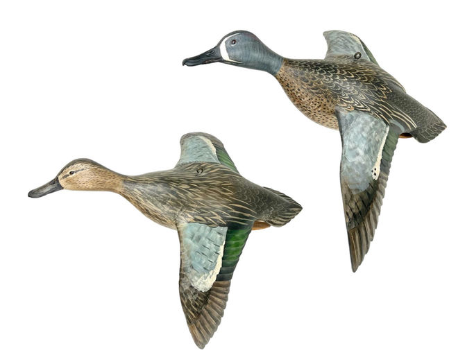 Mike Borrett – Flying Blue-winged Teal Pair – 2024
