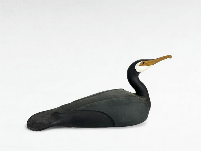 Clarence Fennimore — Cormorant