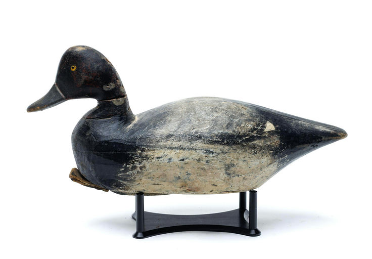 Ira Hudson – Scaup – 2026