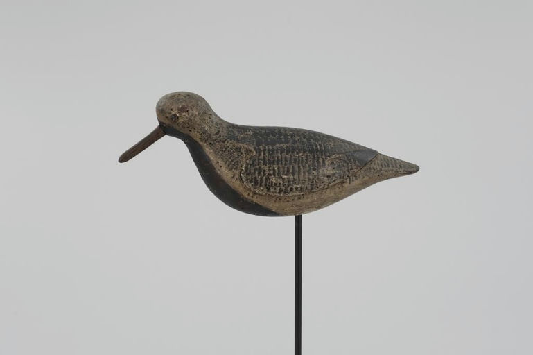 Verity Family – Black-Bellied Plover – 2026