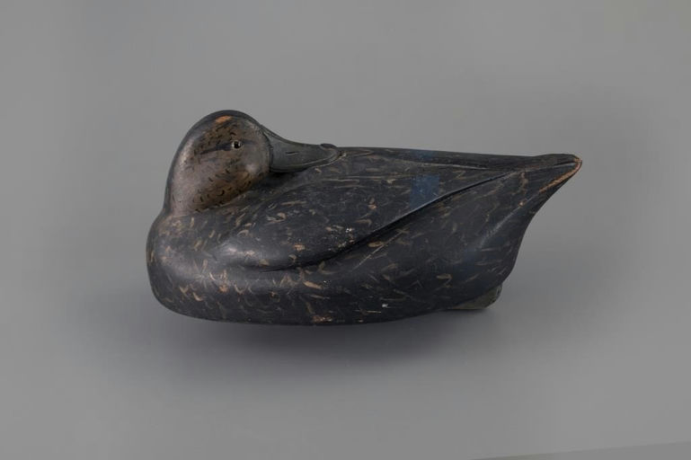 Ferdinand Bach – Rare and Early Sleeping Black Duck – 2025