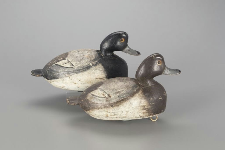 Ira Hudson – Broadbill Pair – 2022