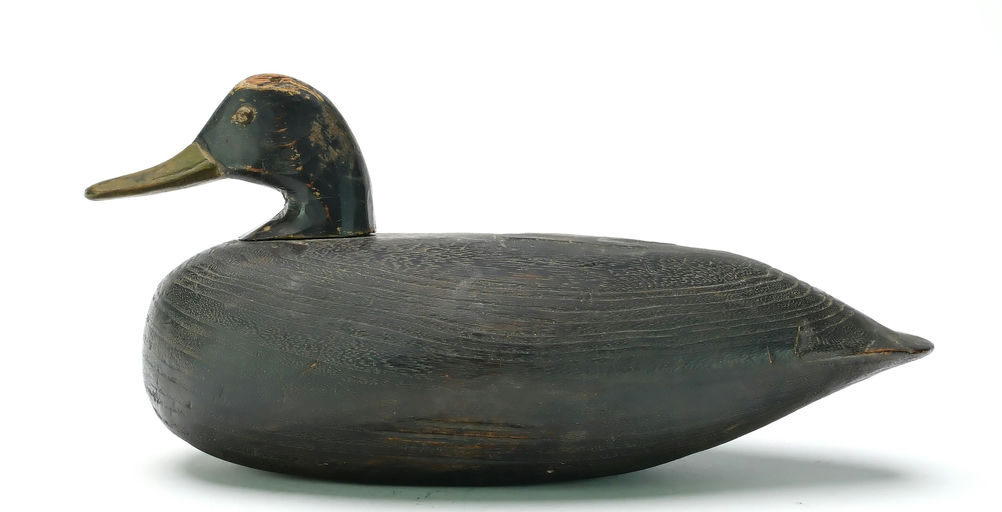 Doug Jester – Black Duck – 2025