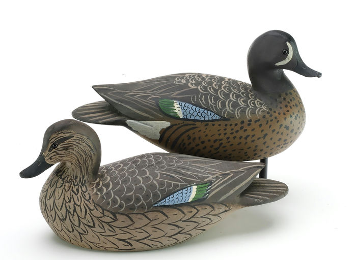 Ward Brothers – Pair of bluewing teal – 2024
