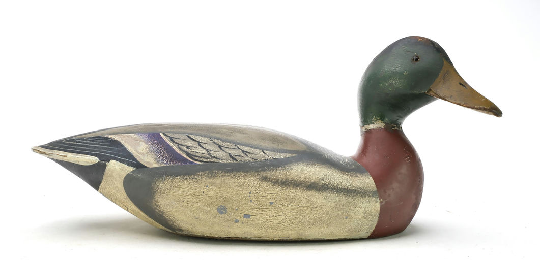 Ward Brothers – Mallard – 2025