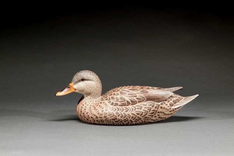 Randy Tull – Mallard Hen – 2015