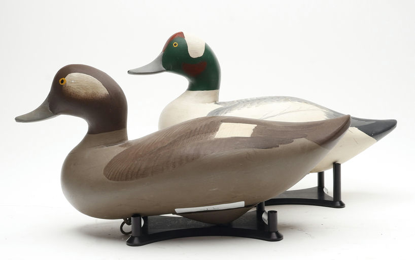 R. Madison Mitchell – Pair of Bufflehead – 2026