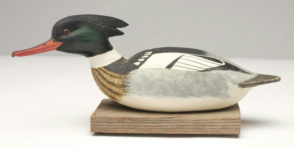 Corb Reed – Merganser – 2023