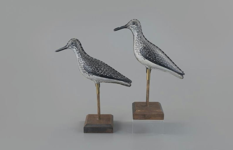 Strater and Sohier – Two Tin Yellowlegs – 2025